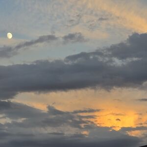 Meet your Posher, Robert